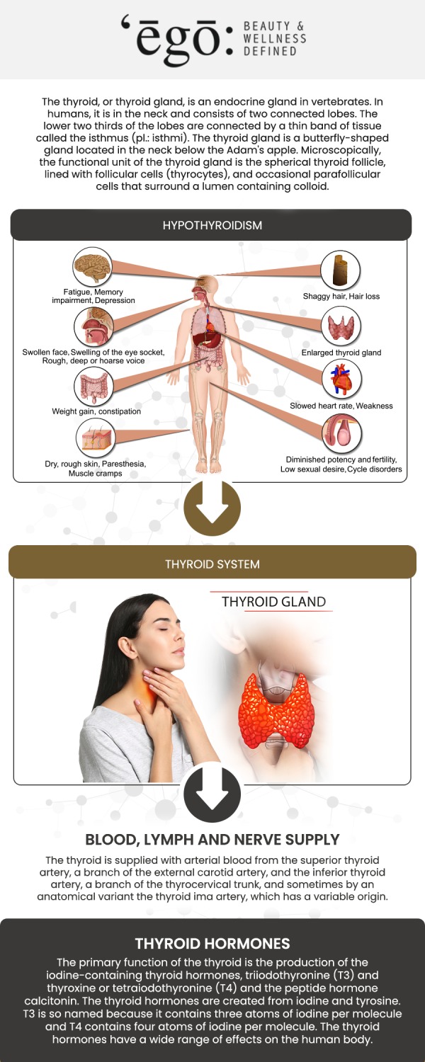 Common questions asked by clients: What is thyroid optimization therapy? What are the common signs of a thyroid imbalance? How do I know if thyroid optimization is right for me? How does Ego Beauty & Wellness's approach differ from traditional treatments? For more information, contact us or schedule an appointment online. We are conveniently located at 1300 Mable Ave Suite C Modesto, CA 95355.