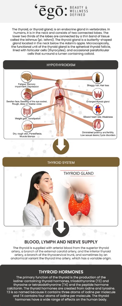Common questions asked by clients: What is thyroid optimization therapy? What are the common signs of a thyroid imbalance? How do I know if thyroid optimization is right for me? How does Ego Beauty & Wellness's approach differ from traditional treatments? For more information, contact us or schedule an appointment online. We are conveniently located at 1300 Mable Ave Suite C Modesto, CA 95355.